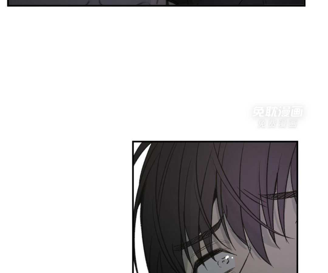 同情的形式（共3季） 第264话 第13页