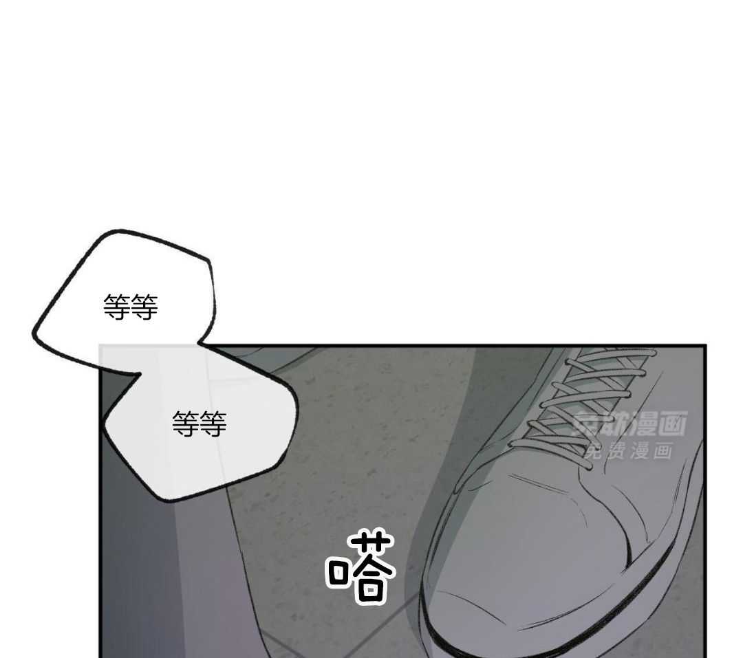 同情的形式（共3季） 第264话 第15页