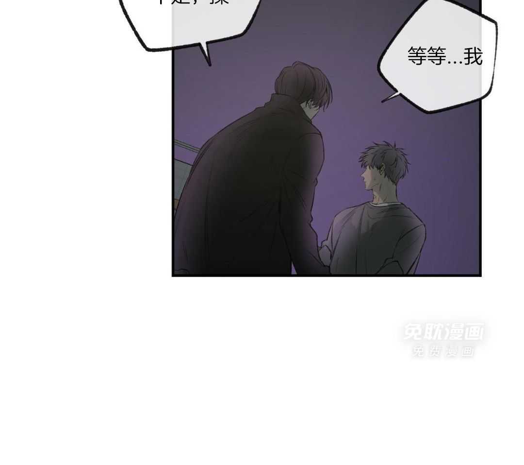 同情的形式（共3季） 第264话 第17页