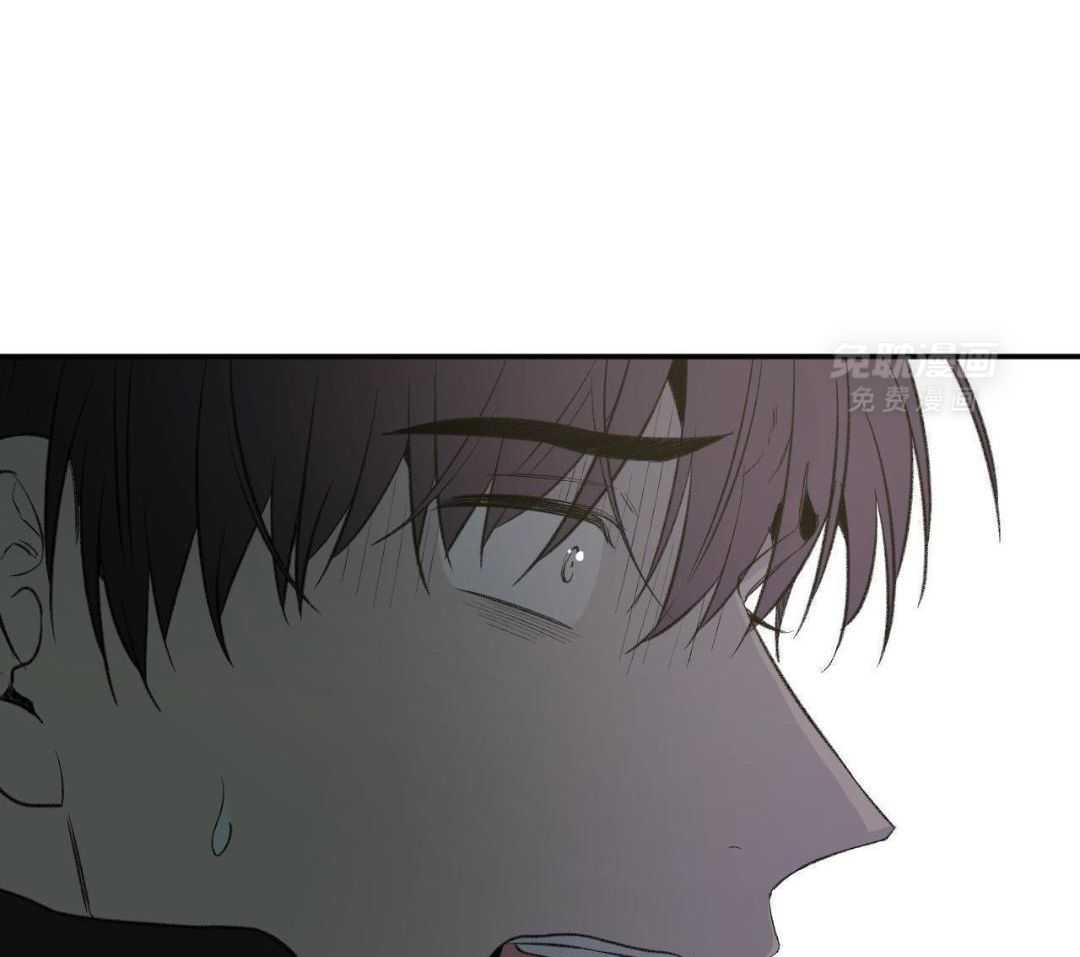 同情的形式（共3季） 第264话 第19页