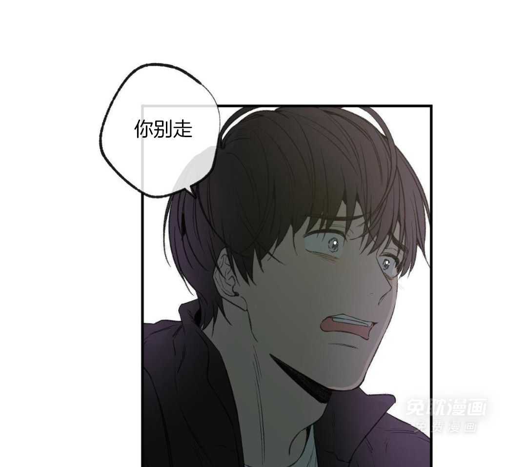 同情的形式（共3季） 第264话 第23页