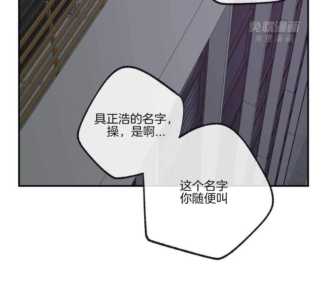 同情的形式（共3季） 第264话 第31页