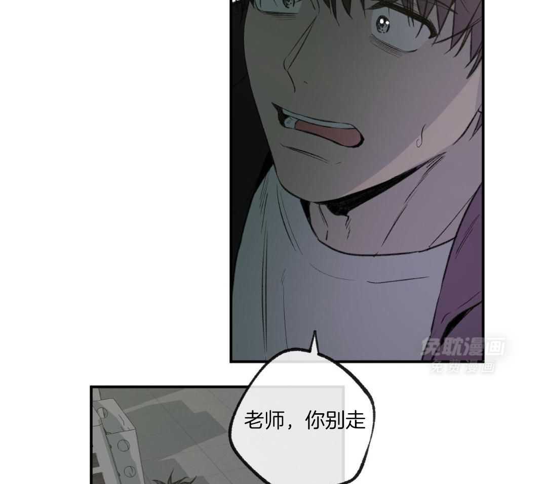 同情的形式（共3季） 第264话 第33页