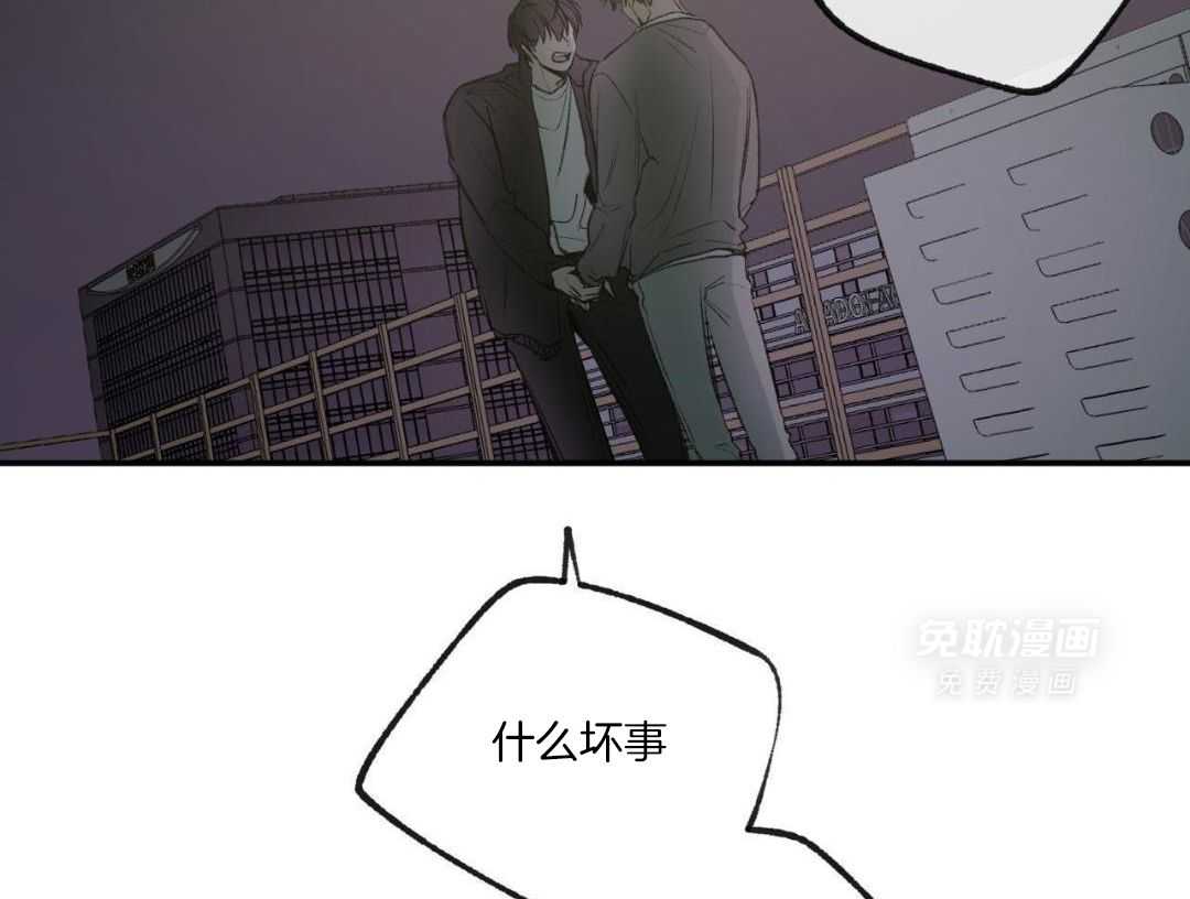 同情的形式（共3季） 第264话 第40页