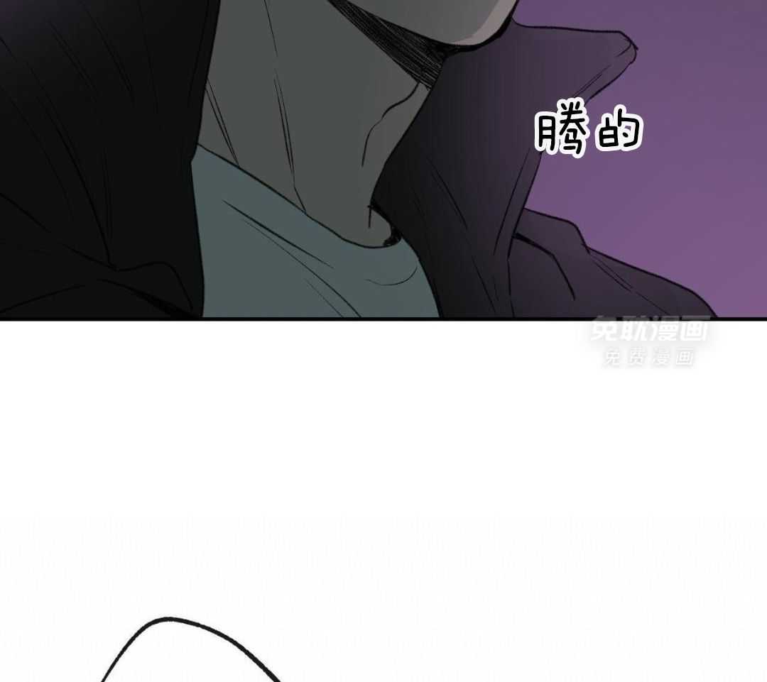 同情的形式（共3季） 第265话 第2页