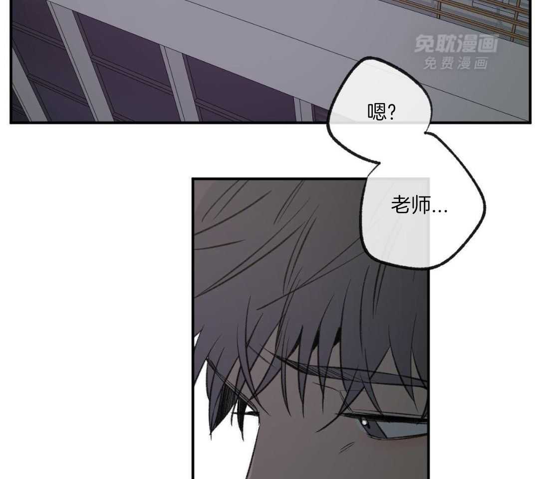 同情的形式（共3季） 第265话 第4页