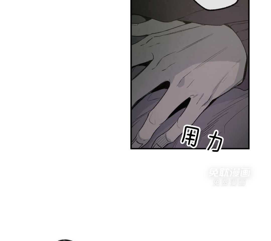 同情的形式（共3季） 第265话 第15页