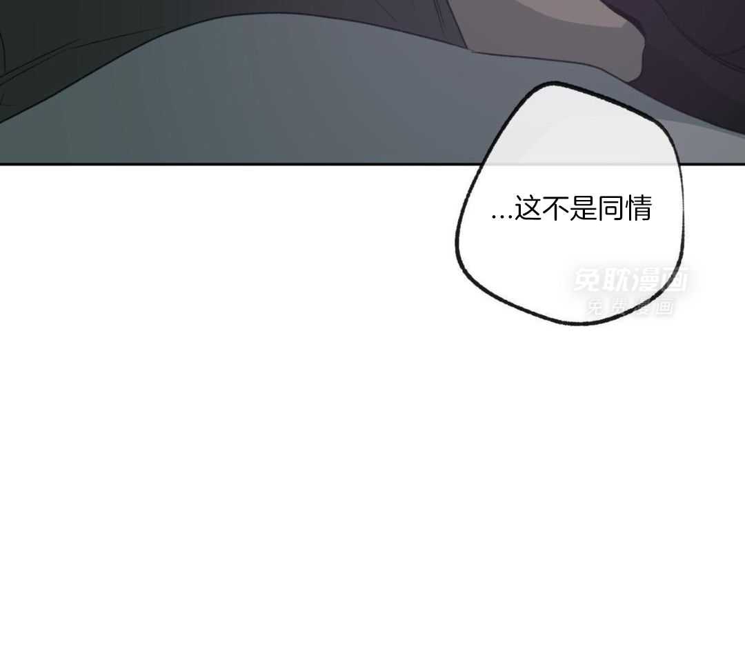 同情的形式（共3季） 第265话 第29页