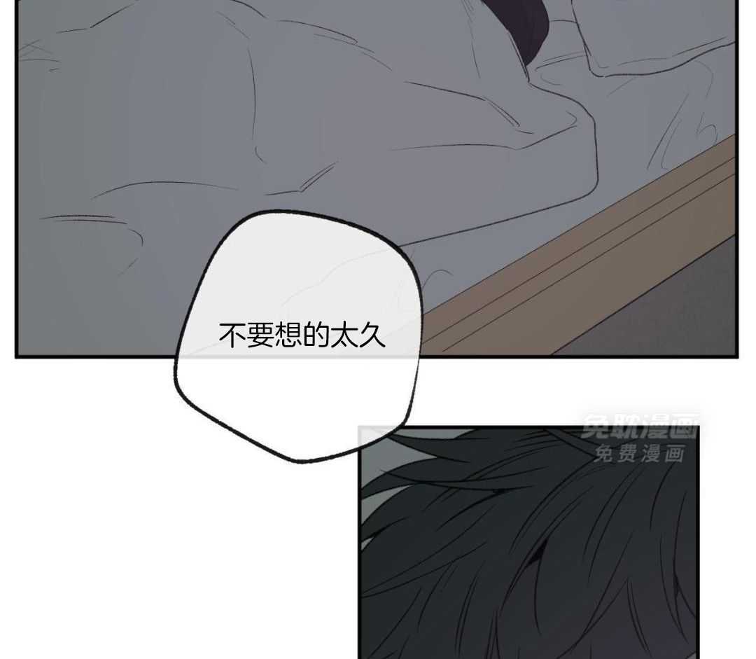 同情的形式（共3季） 第265话 第31页