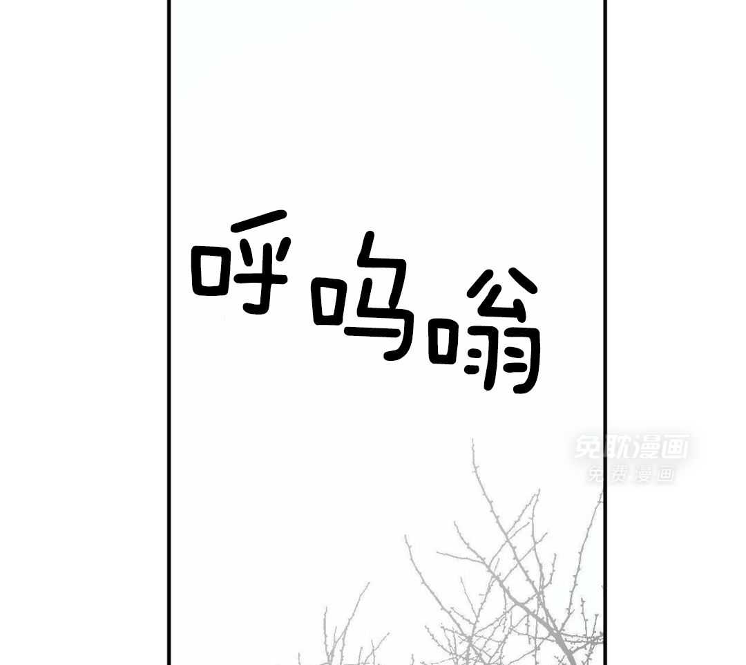 同情的形式（共3季） 第266话 第1页
