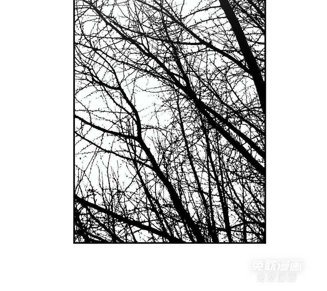 同情的形式（共3季） 第266话 第3页