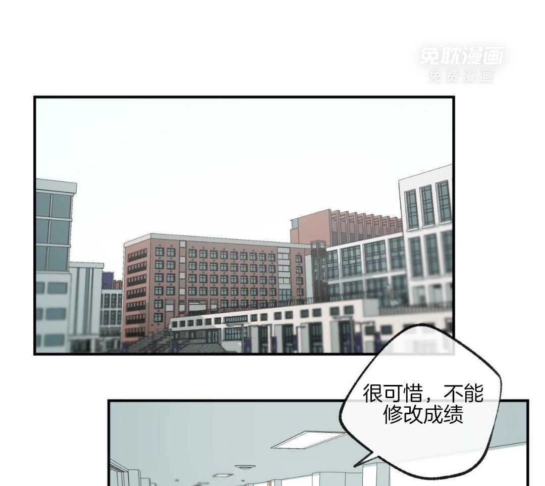 同情的形式（共3季） 第266话 第4页