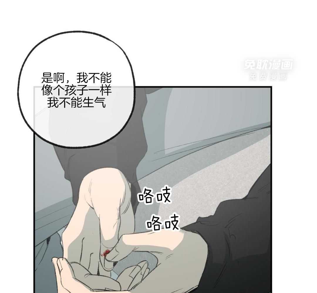 同情的形式（共3季） 第266话 第12页
