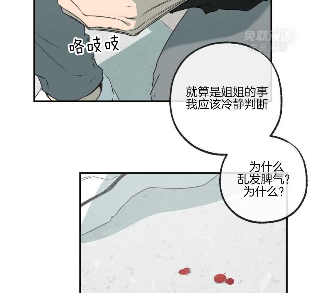 同情的形式（共3季） 第266话 第13页