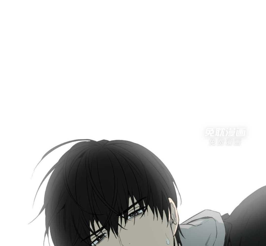 同情的形式（共3季） 第266话 第15页