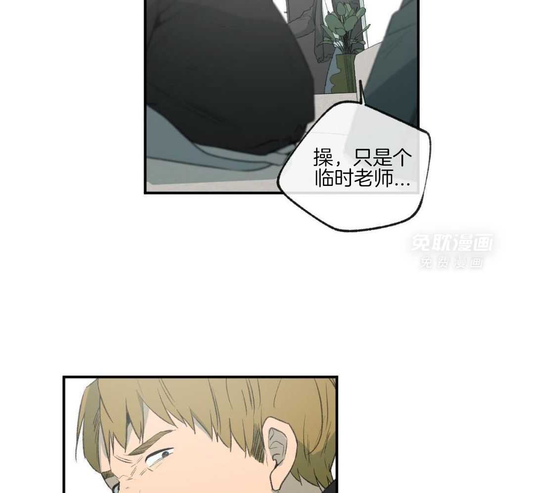 同情的形式（共3季） 第266话 第29页