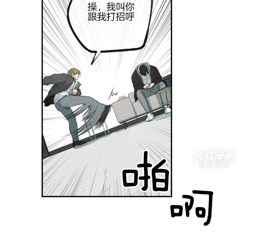 同情的形式（共3季） 第266话 第36页