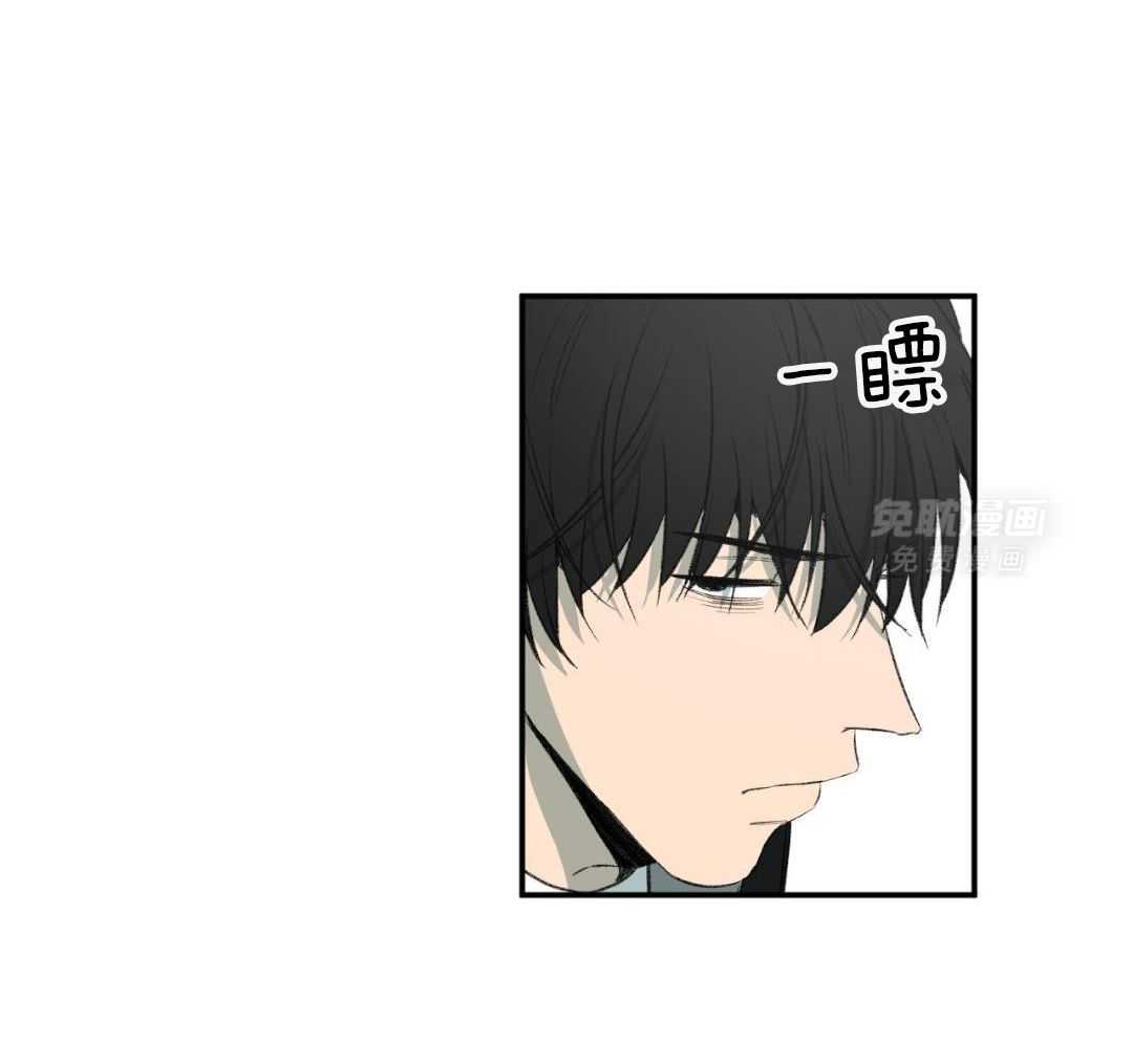 同情的形式（共3季） 第266话 第37页