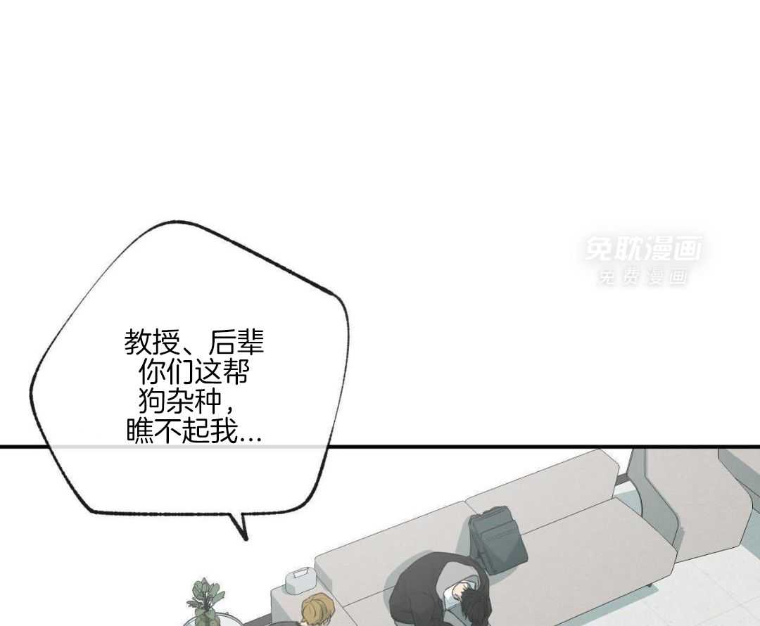 同情的形式（共3季） 第266话 第40页