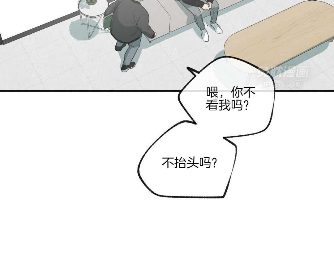 同情的形式（共3季） 第266话 第41页