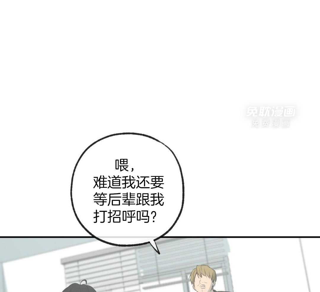 同情的形式（共3季） 第267话 第0页