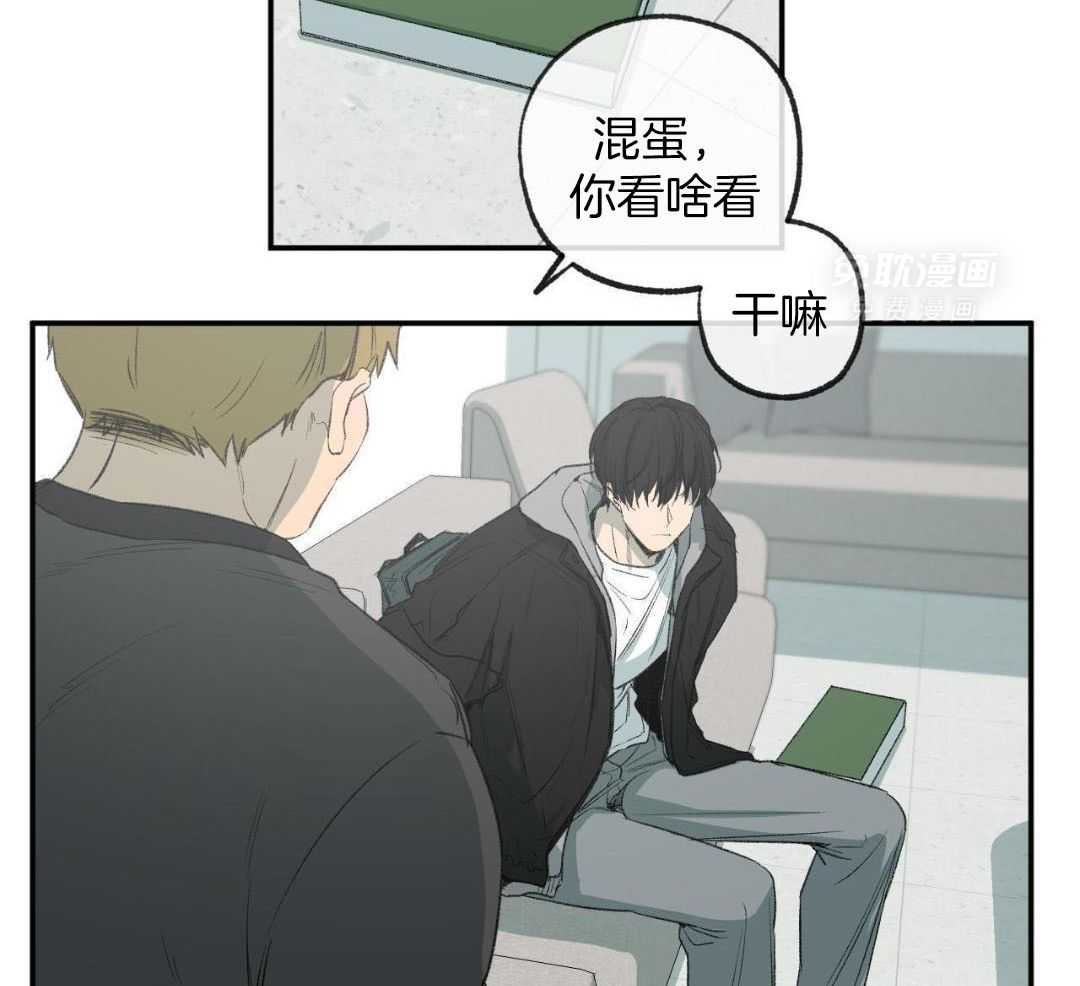 同情的形式（共3季） 第267话 第3页