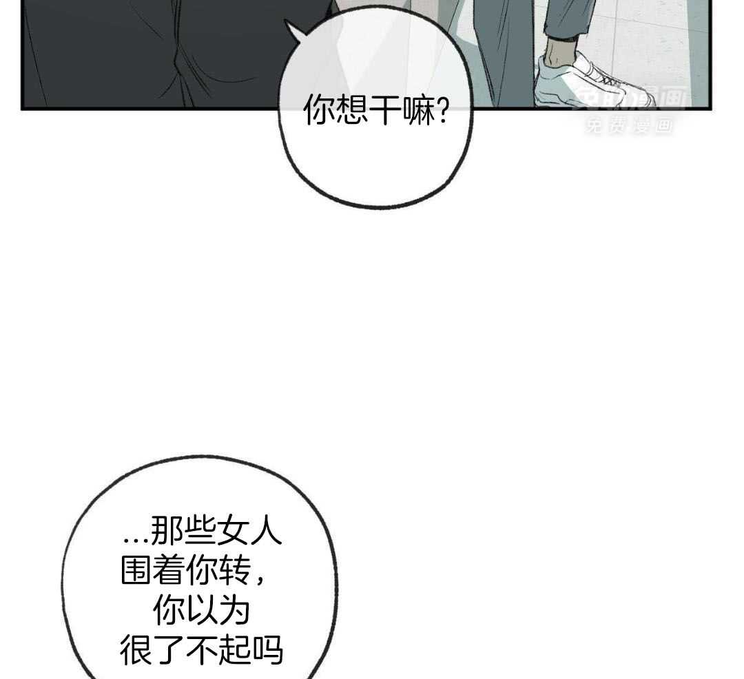 同情的形式（共3季） 第267话 第4页