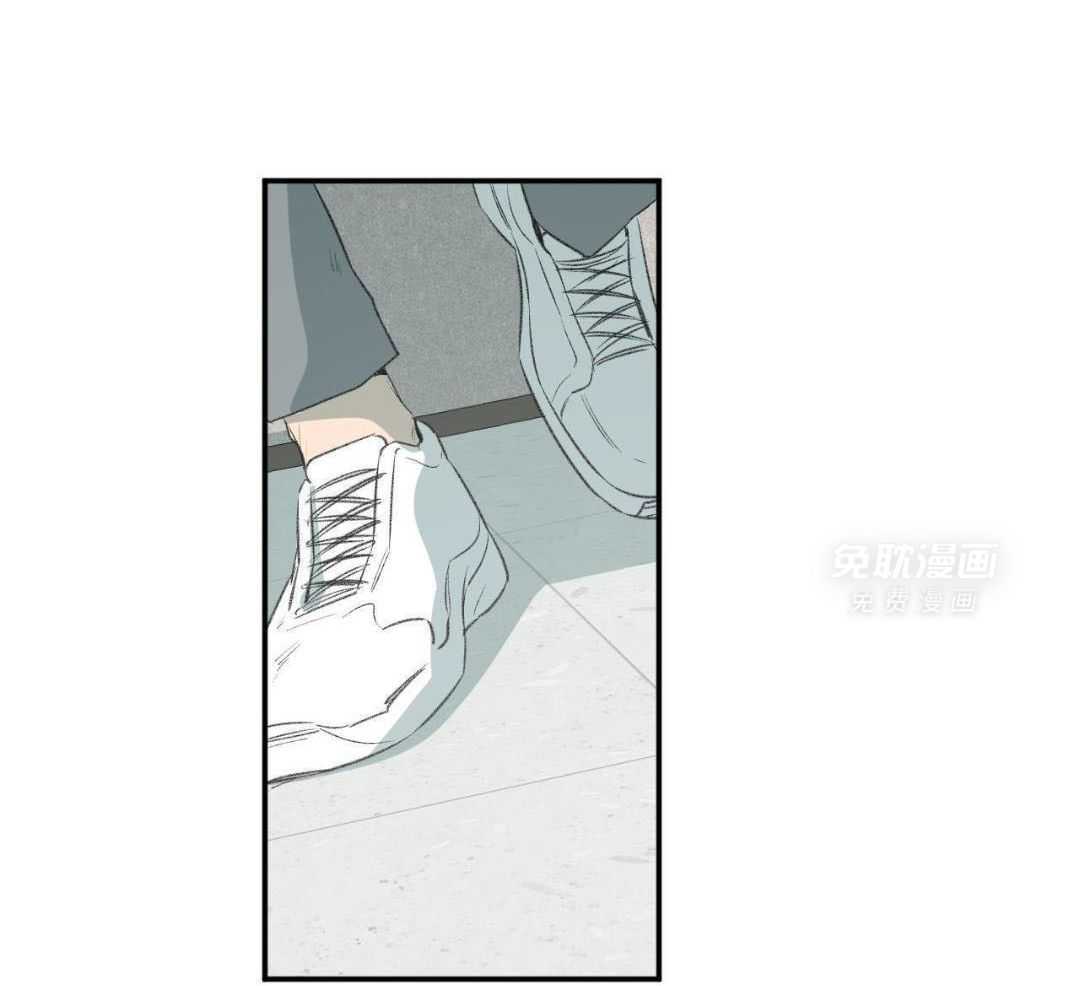 同情的形式（共3季） 第267话 第11页