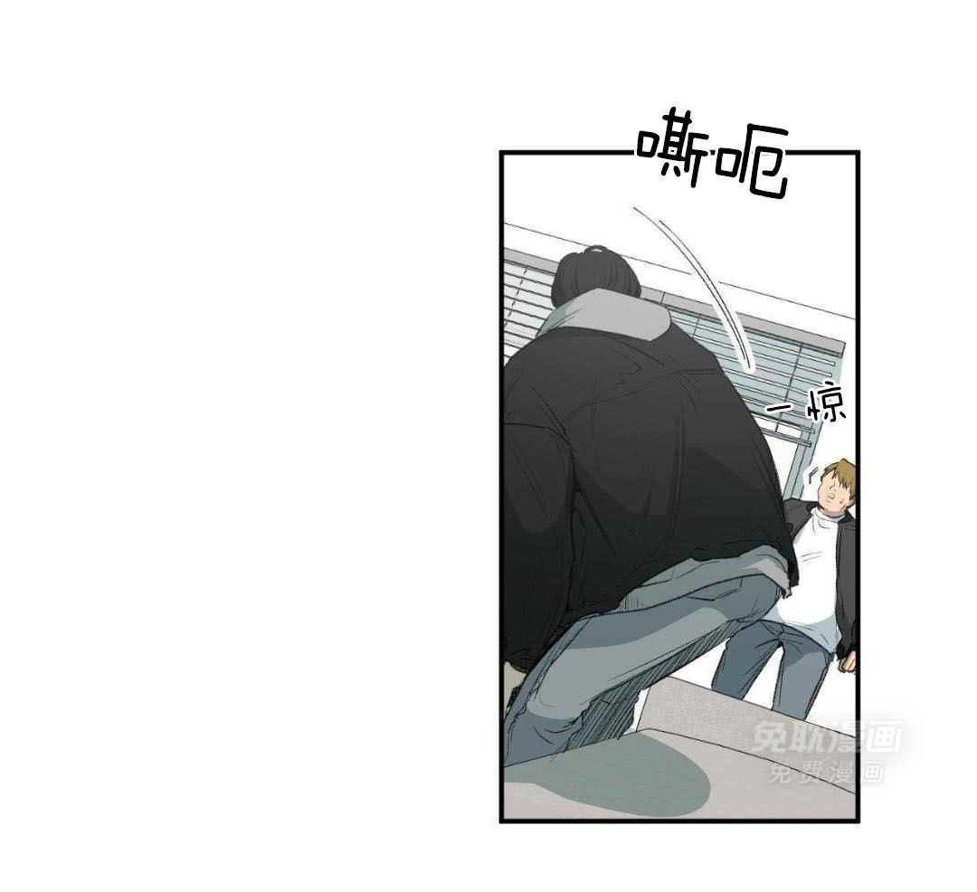 同情的形式（共3季） 第267话 第12页