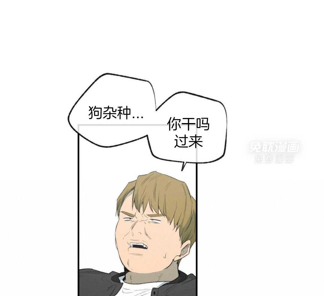 同情的形式（共3季） 第267话 第13页