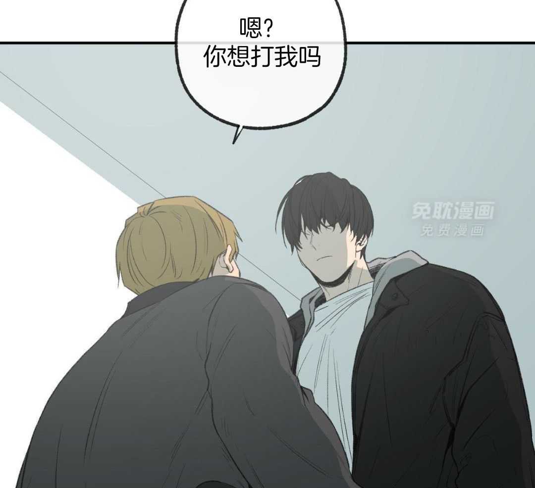 同情的形式（共3季） 第267话 第15页