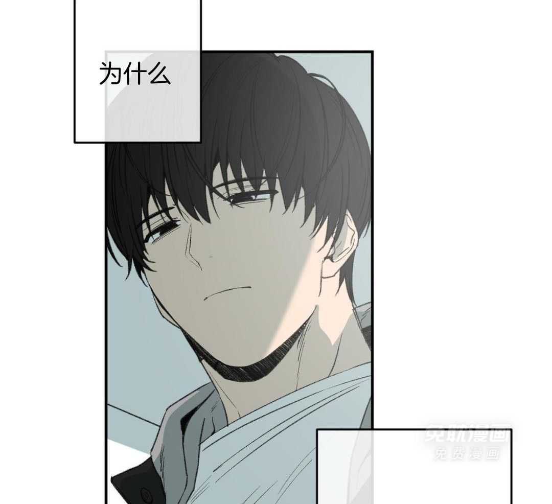 同情的形式（共3季） 第267话 第17页