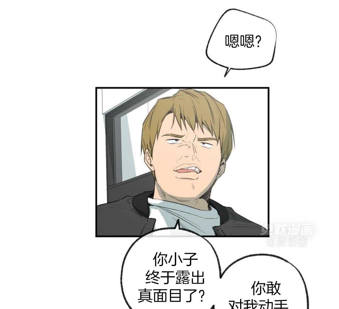 同情的形式（共3季） 第267话 第20页