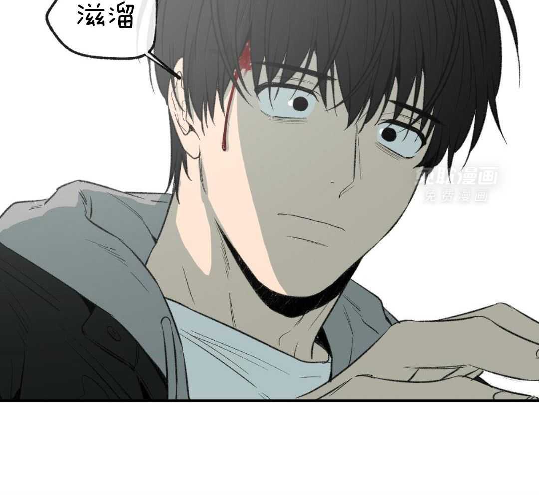 同情的形式（共3季） 第267话 第22页