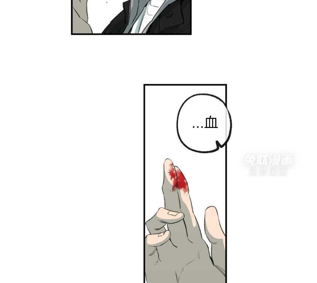 同情的形式（共3季） 第267话 第26页