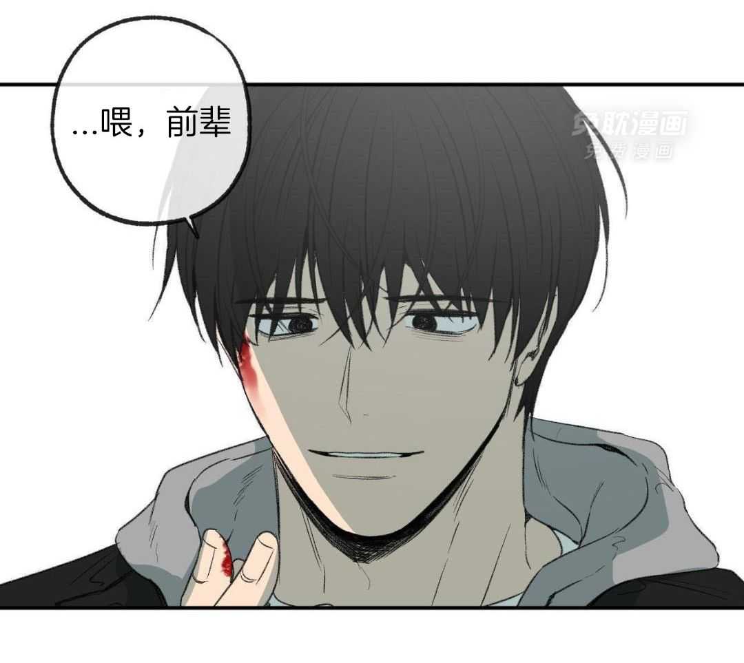 同情的形式（共3季） 第267话 第29页