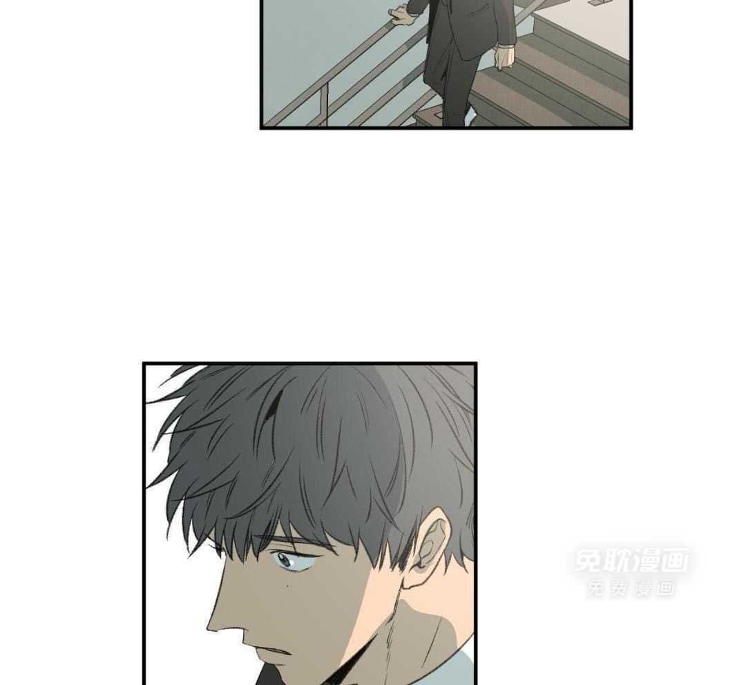 同情的形式（共3季） 第268话 第11页