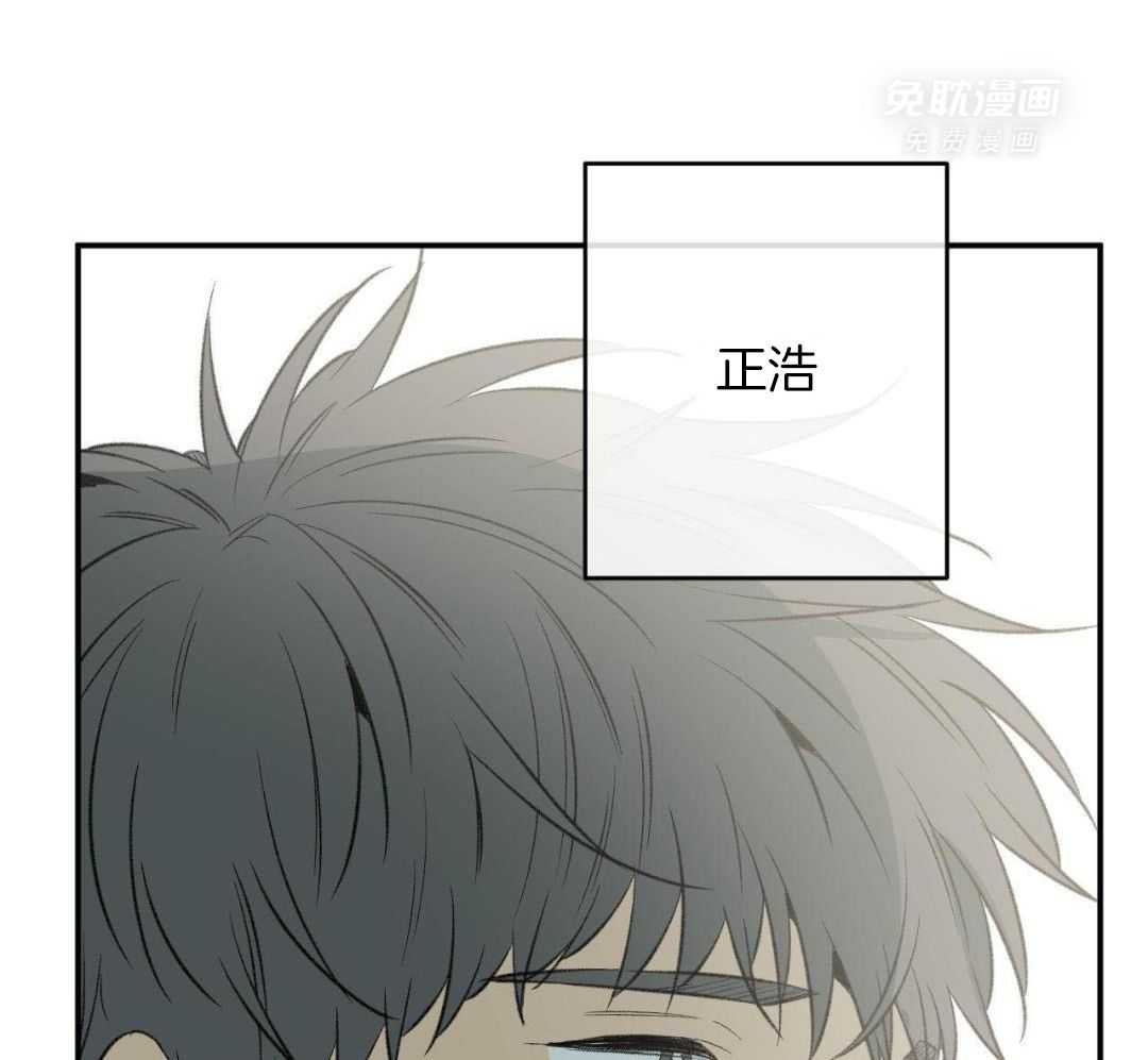 同情的形式（共3季） 第269话 第13页