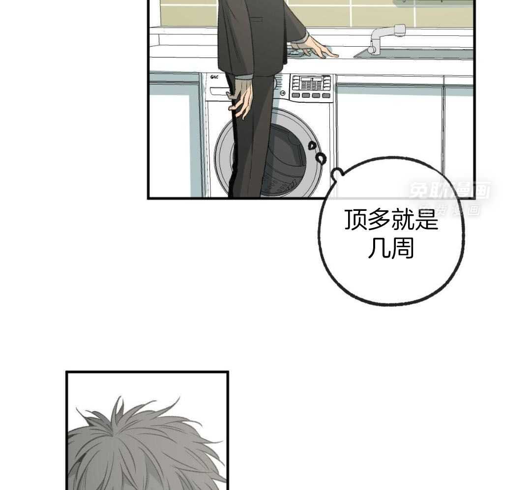 同情的形式（共3季） 第269话 第24页