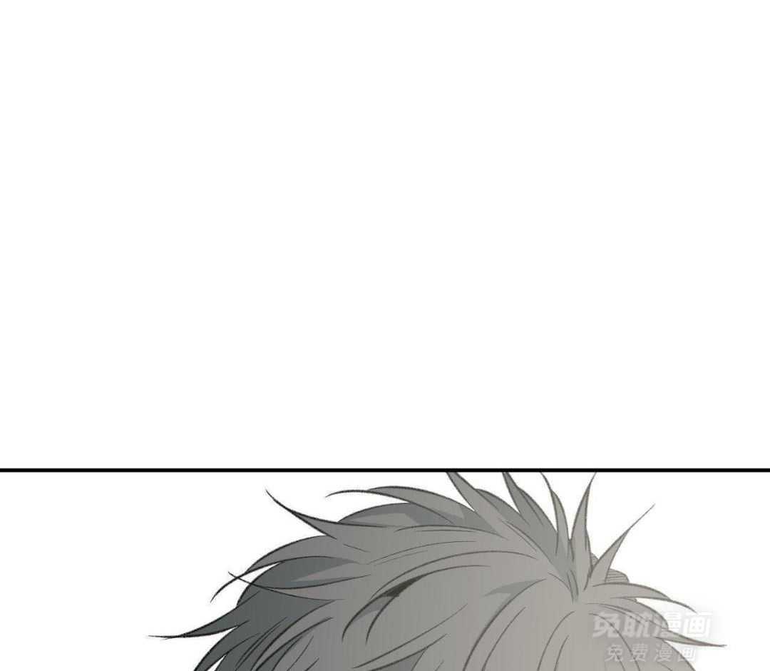 同情的形式（共3季） 第269话 第31页