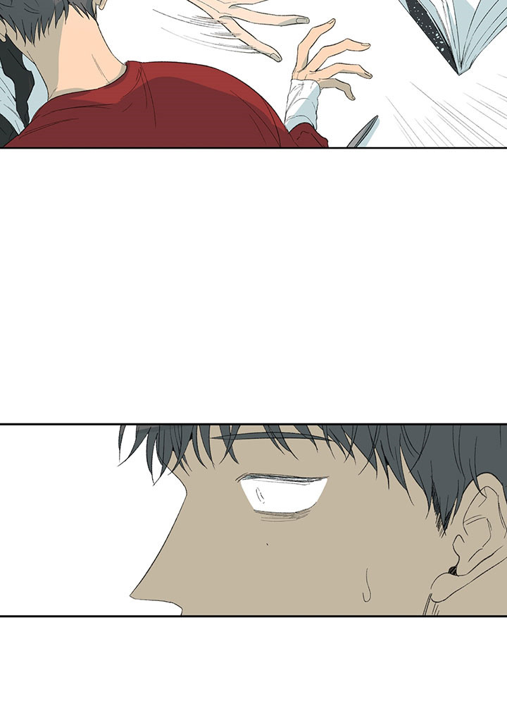 同情的形式（共3季） 第27话 第14页