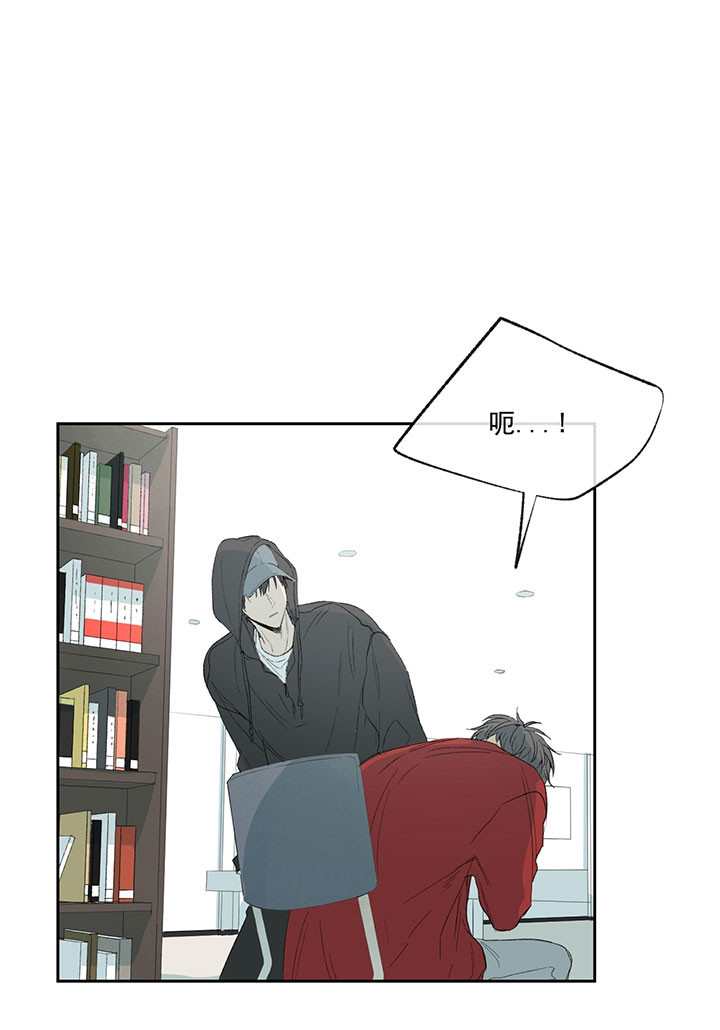 同情的形式（共3季） 第27话 第15页