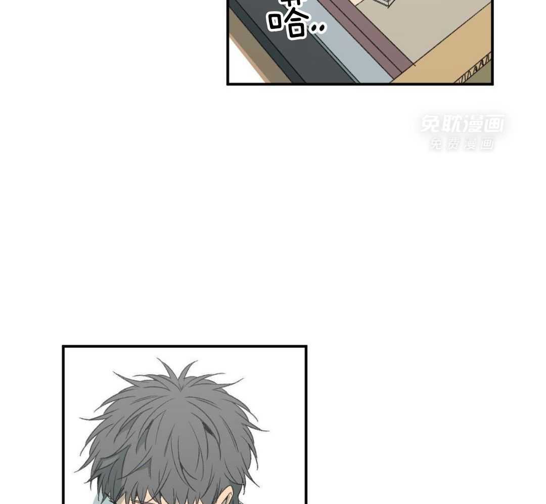 同情的形式（共3季） 第271话 第15页