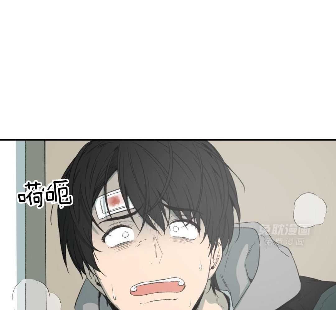 同情的形式（共3季） 第271话 第29页