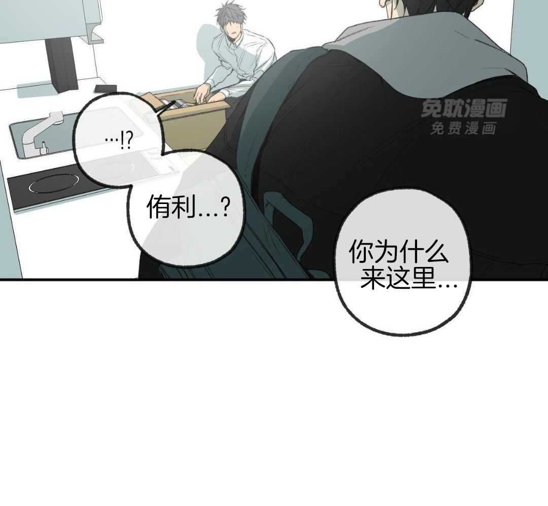 同情的形式（共3季） 第271话 第31页