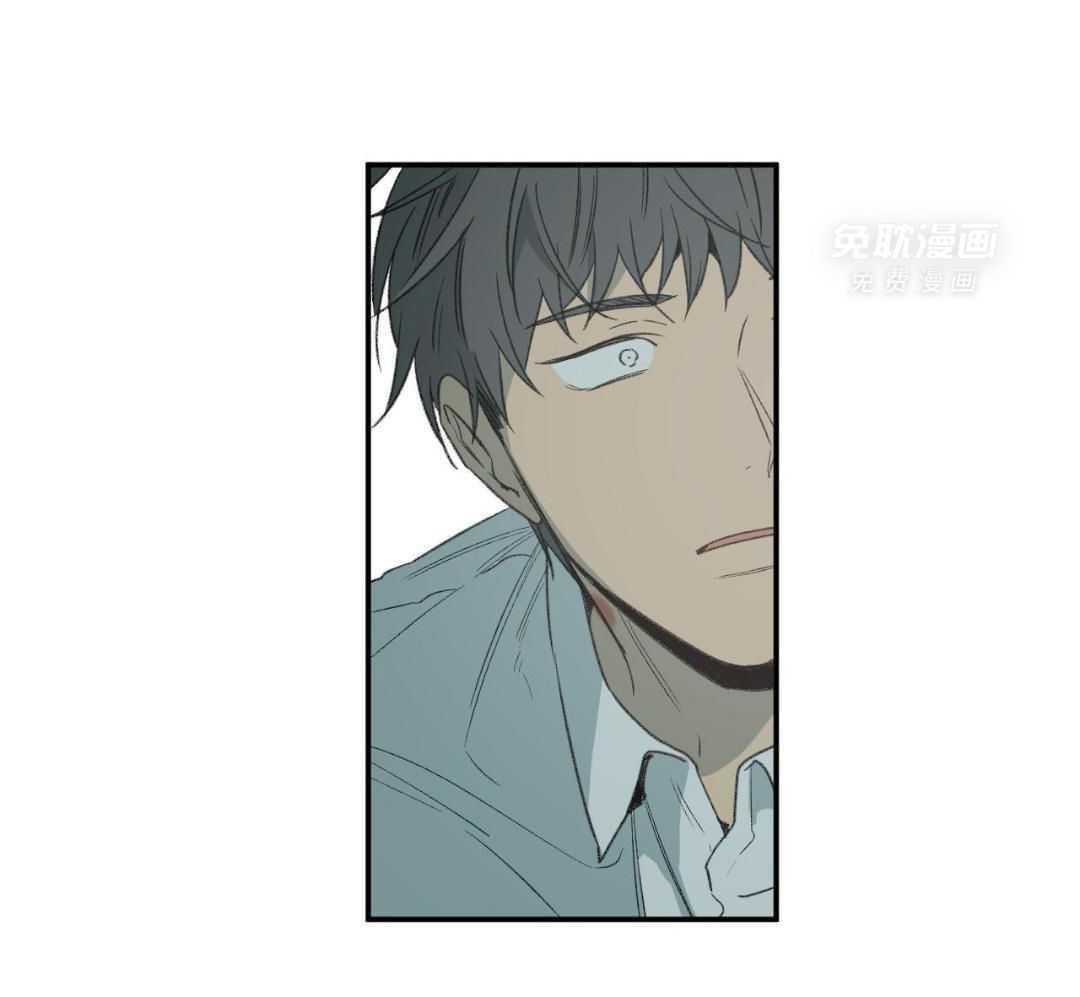 同情的形式（共3季） 第271话 第32页