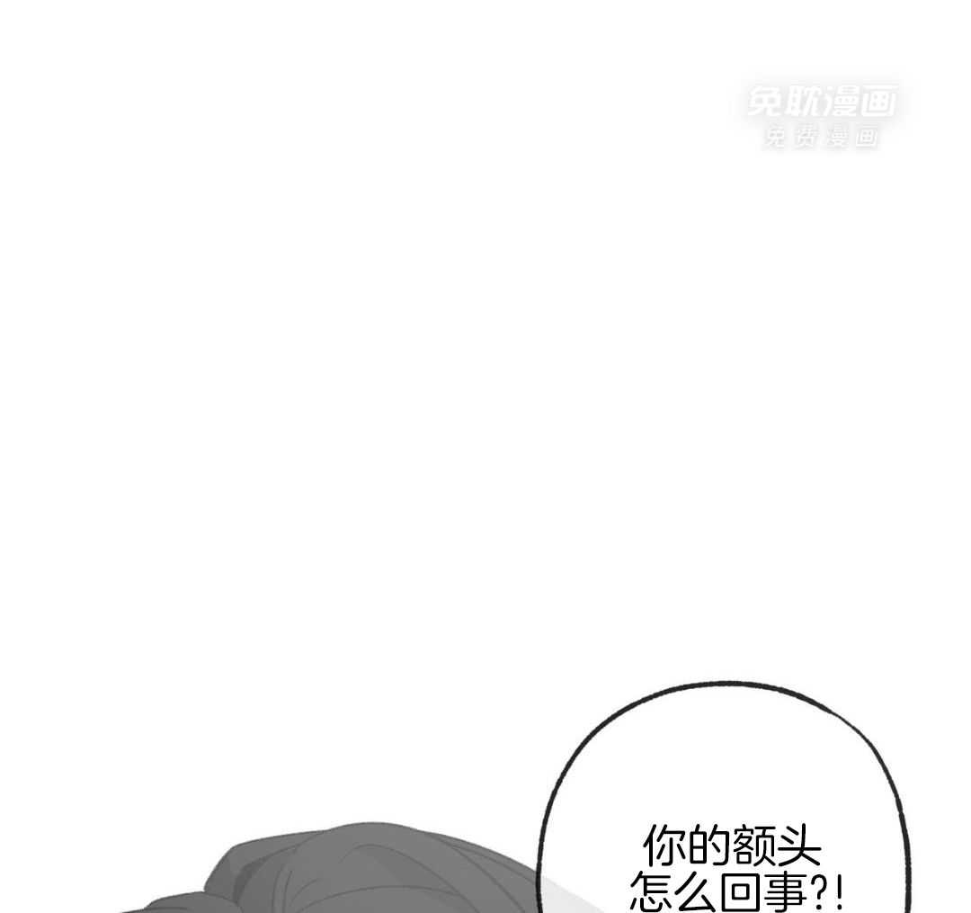 同情的形式（共3季） 第271话 第33页