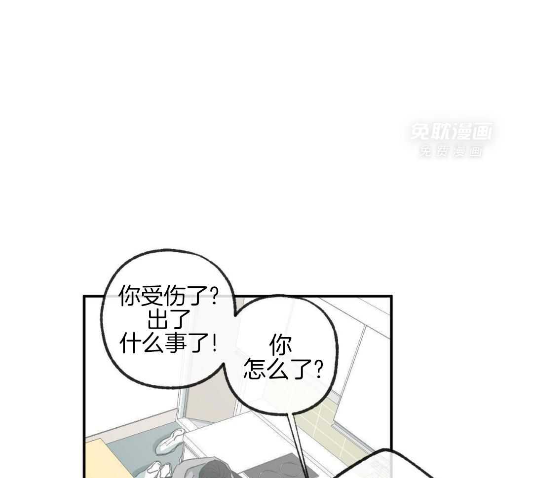 同情的形式（共3季） 第272话 第0页