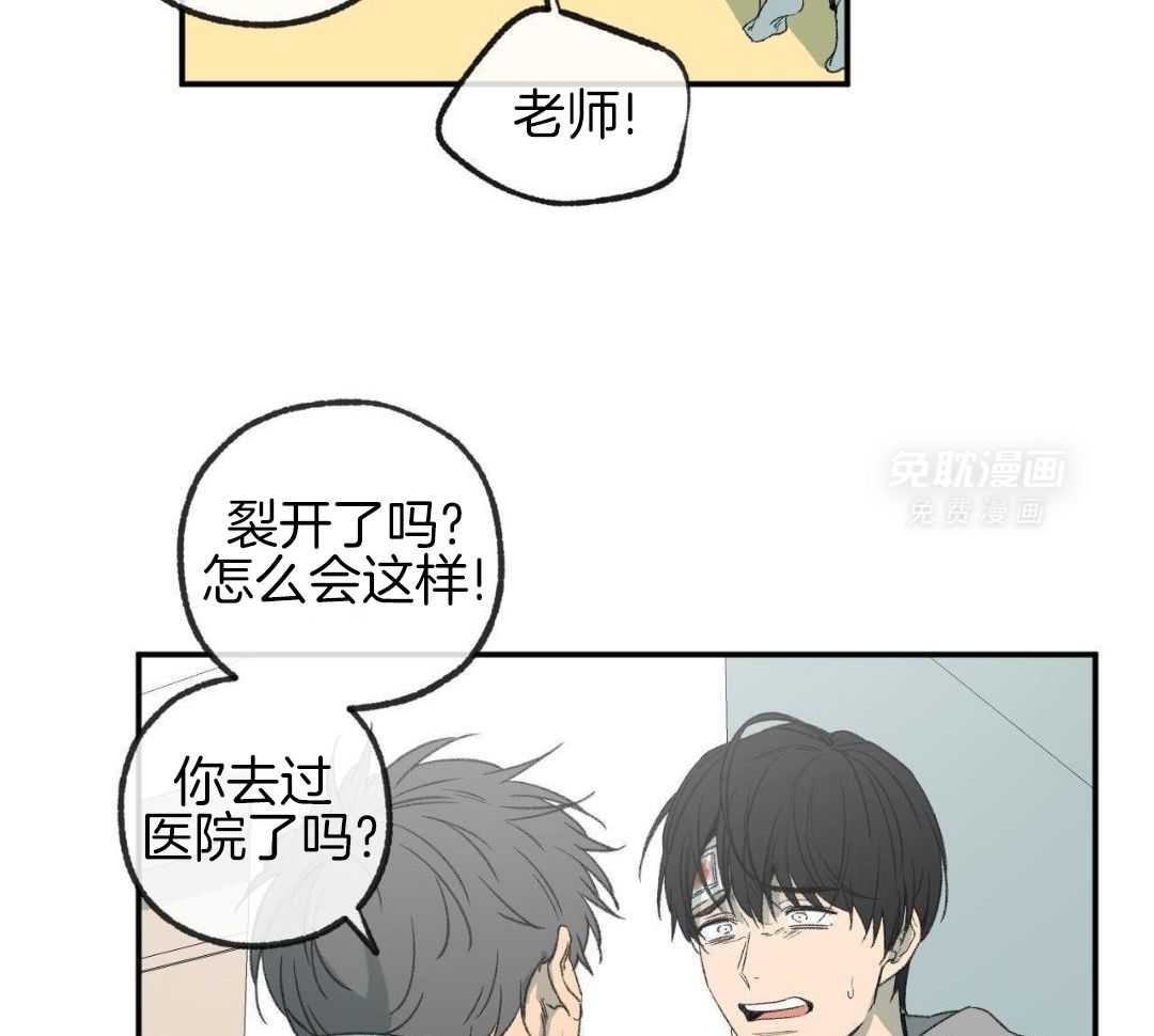 同情的形式（共3季） 第272话 第2页