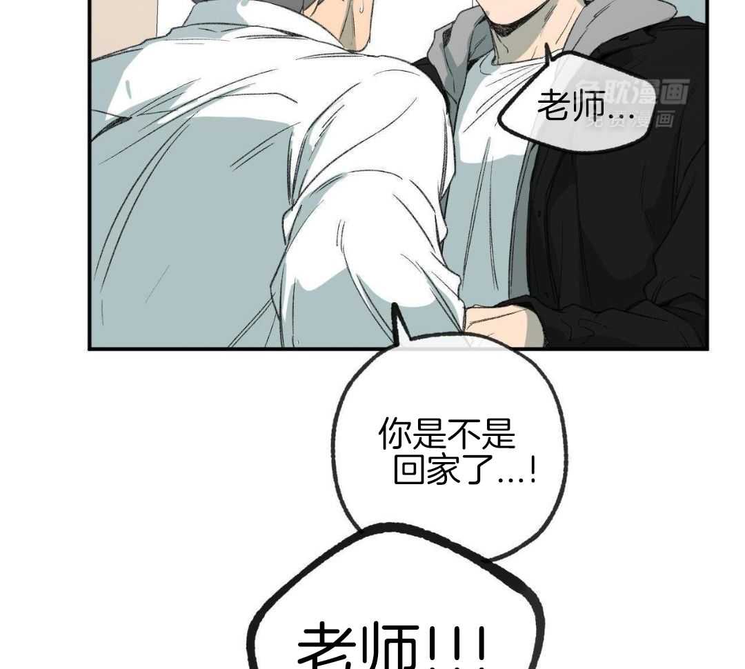 同情的形式（共3季） 第272话 第3页